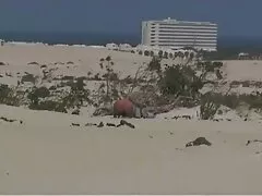 הספינרית הרומנית רבקה וולפטי הופכת ספיד דייט סרטי סקס חינם למבוגרים למנג' א טרואה! GP1768